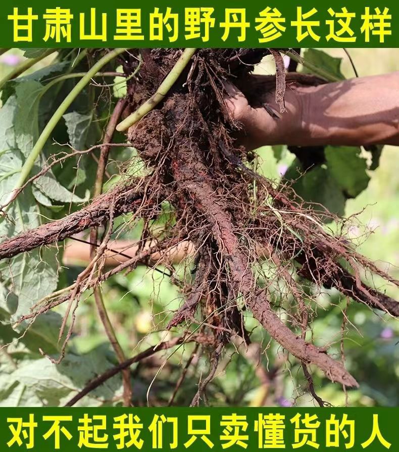 微信图片_202206010940242