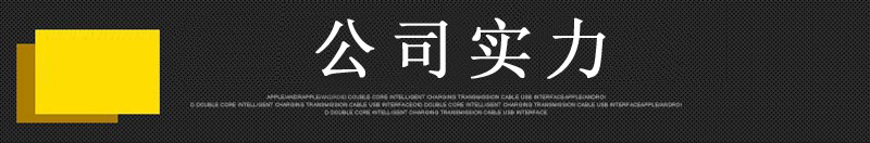 公司实力
