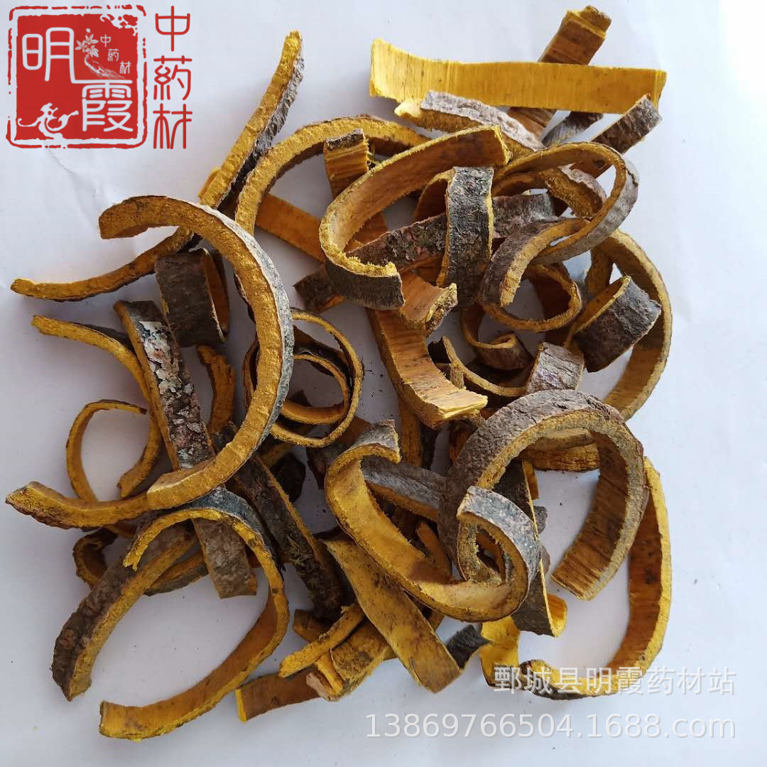 微信图片_20190403093019_副本