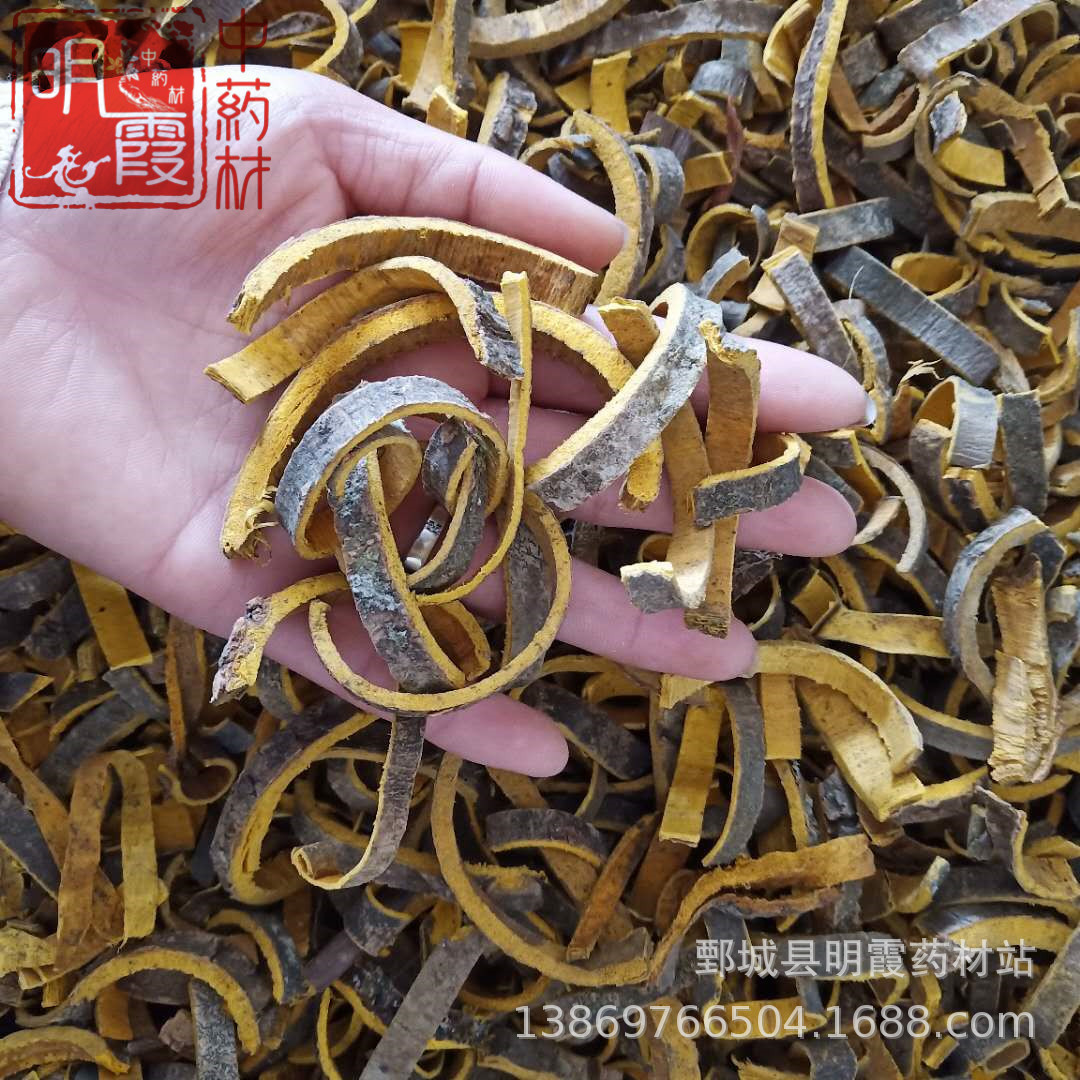 微信图片_20190403093028_副本