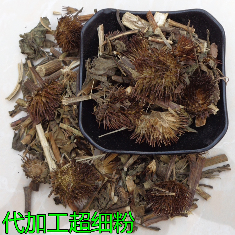 紫锥菊0
