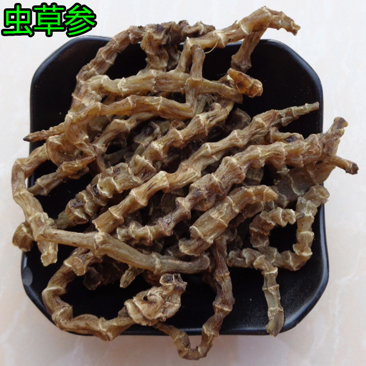 虫草参3