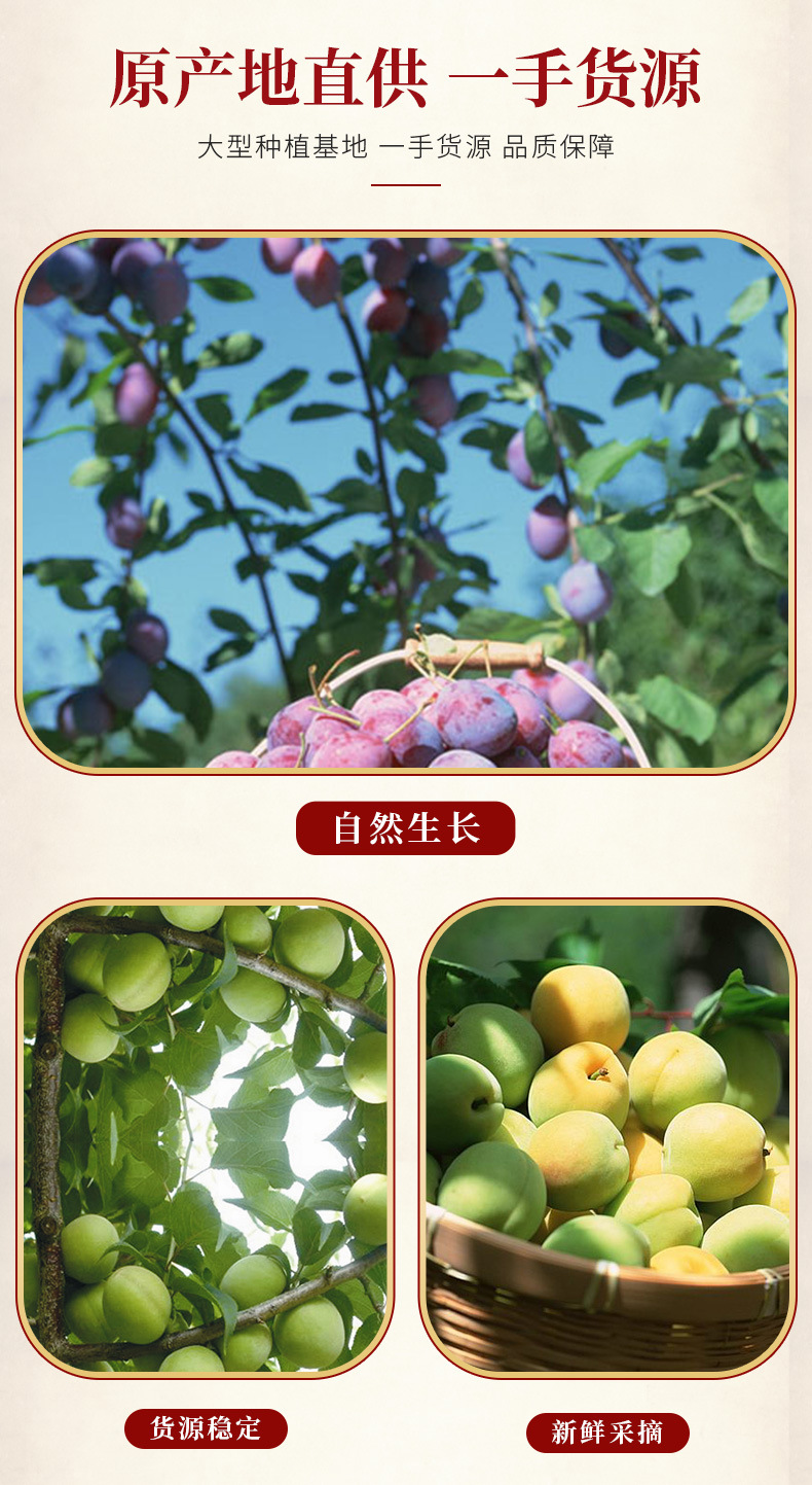 详情_02.jpg